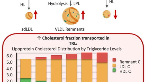 Lipidenmanagement bij type 2-diabetes: richt je op álle atherogene lipoproteïnen (non-HDL-cholesterol)
