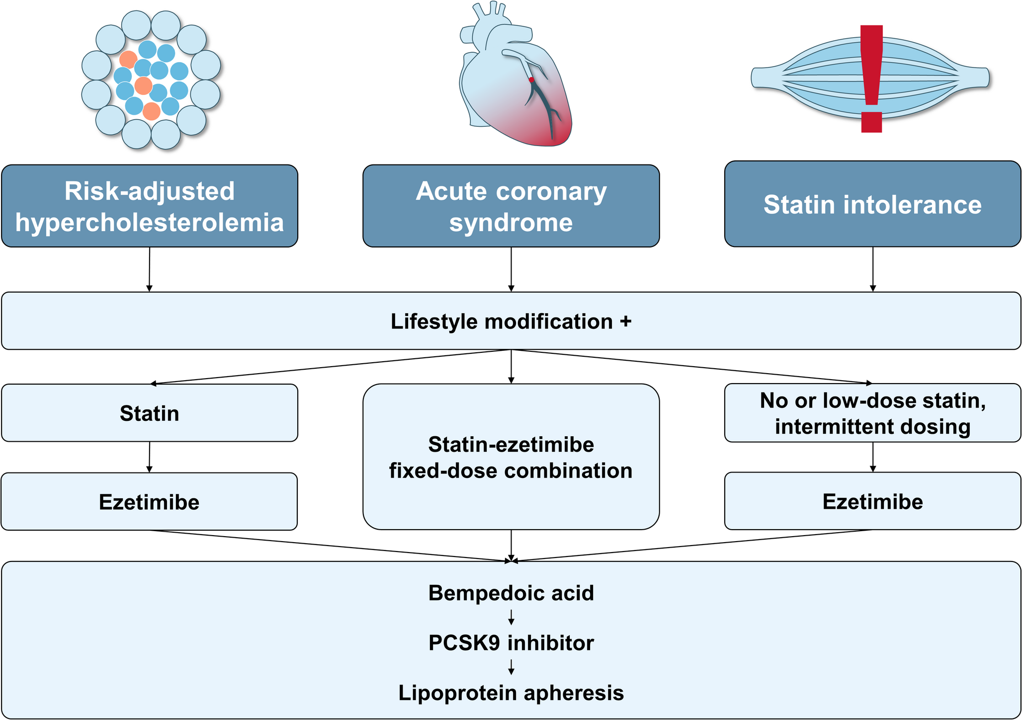 Niet-statine therapie: welk middel voor welke patiënt?